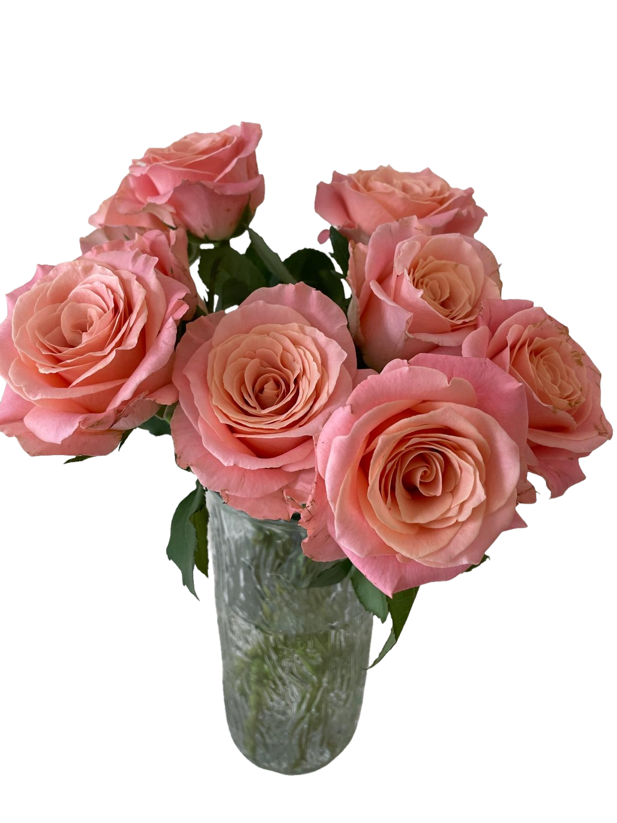Orange Rose 10 pcs 橙色玫瑰一扎十技