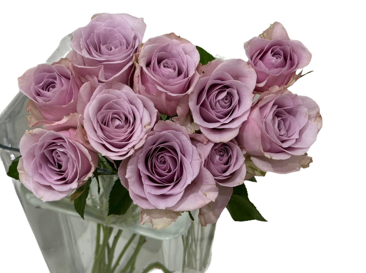 Violet flower 10 pes