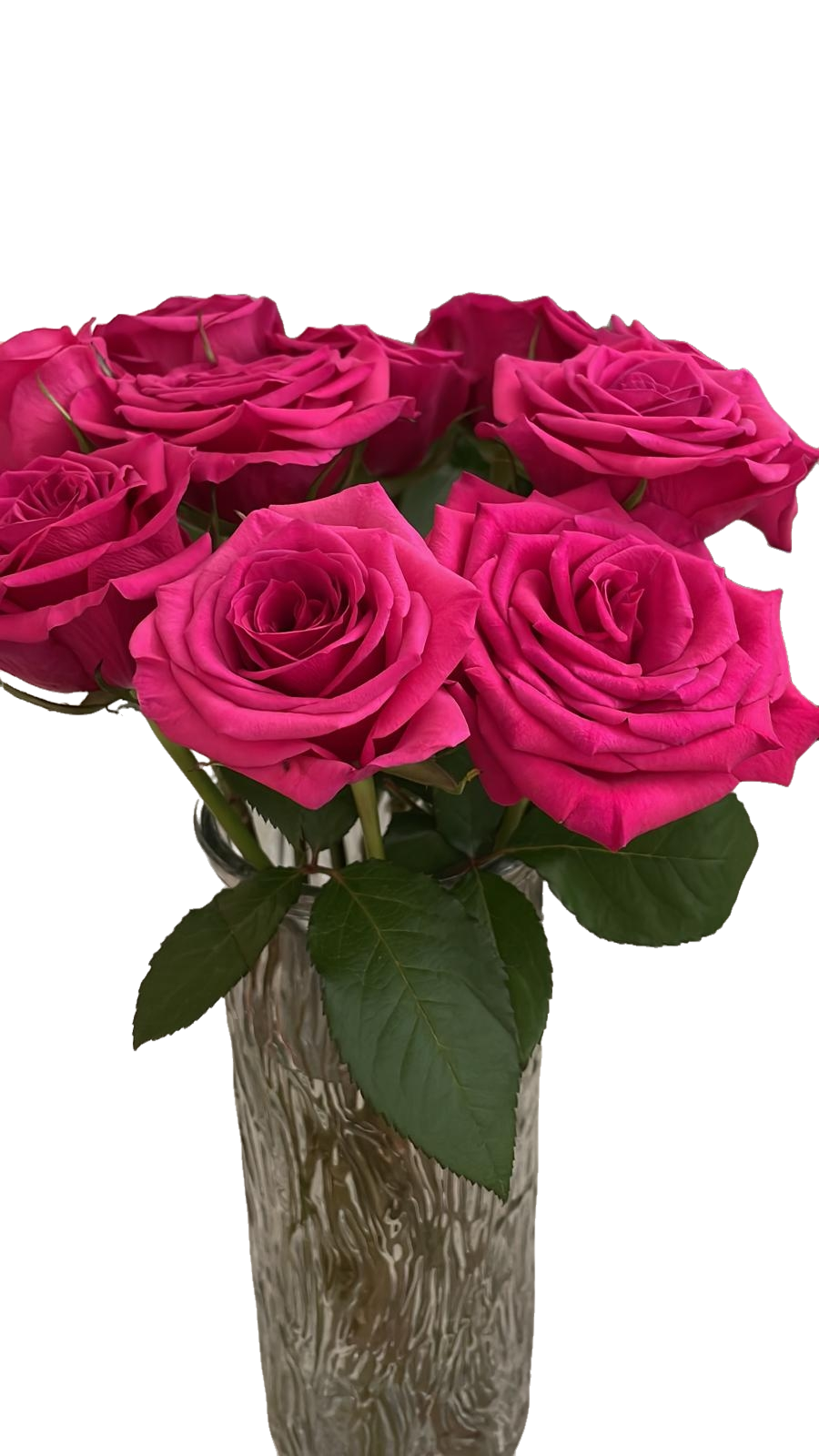 Red Rose 10 pcs 紅玫瑰一扎十技