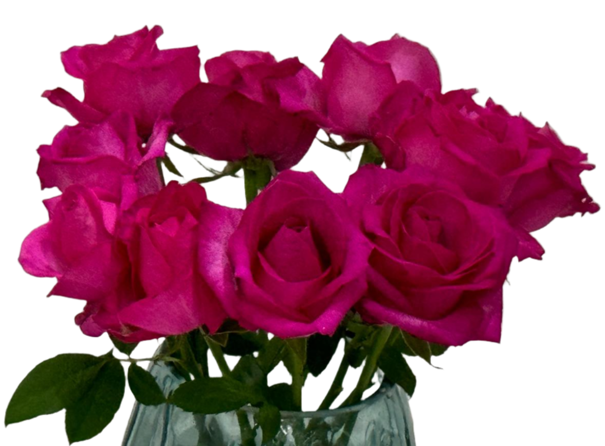 Red Rose 10 pcs 紅玫瑰一扎十技